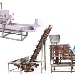 安丘市达安花生机械厂 花生食品加工机械长期供应与专业安装服务